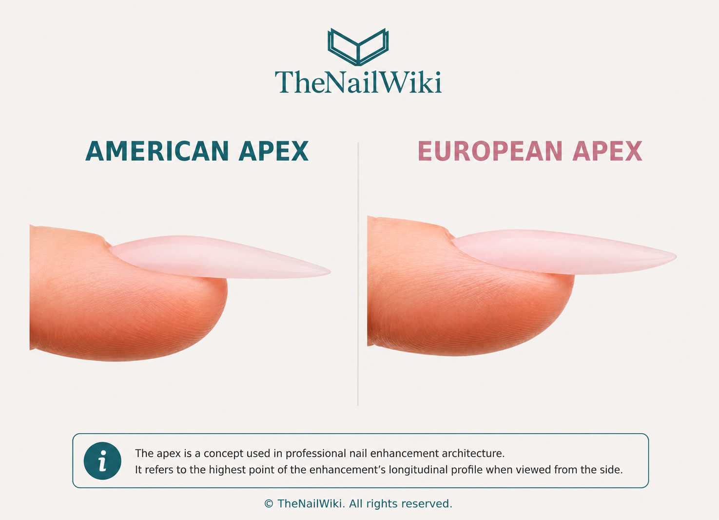 Side profile comparison of American-style and European-style nail apex — showing the more pronounced structural high point of the American approach alongside the more elongated integrated profile of the European approach