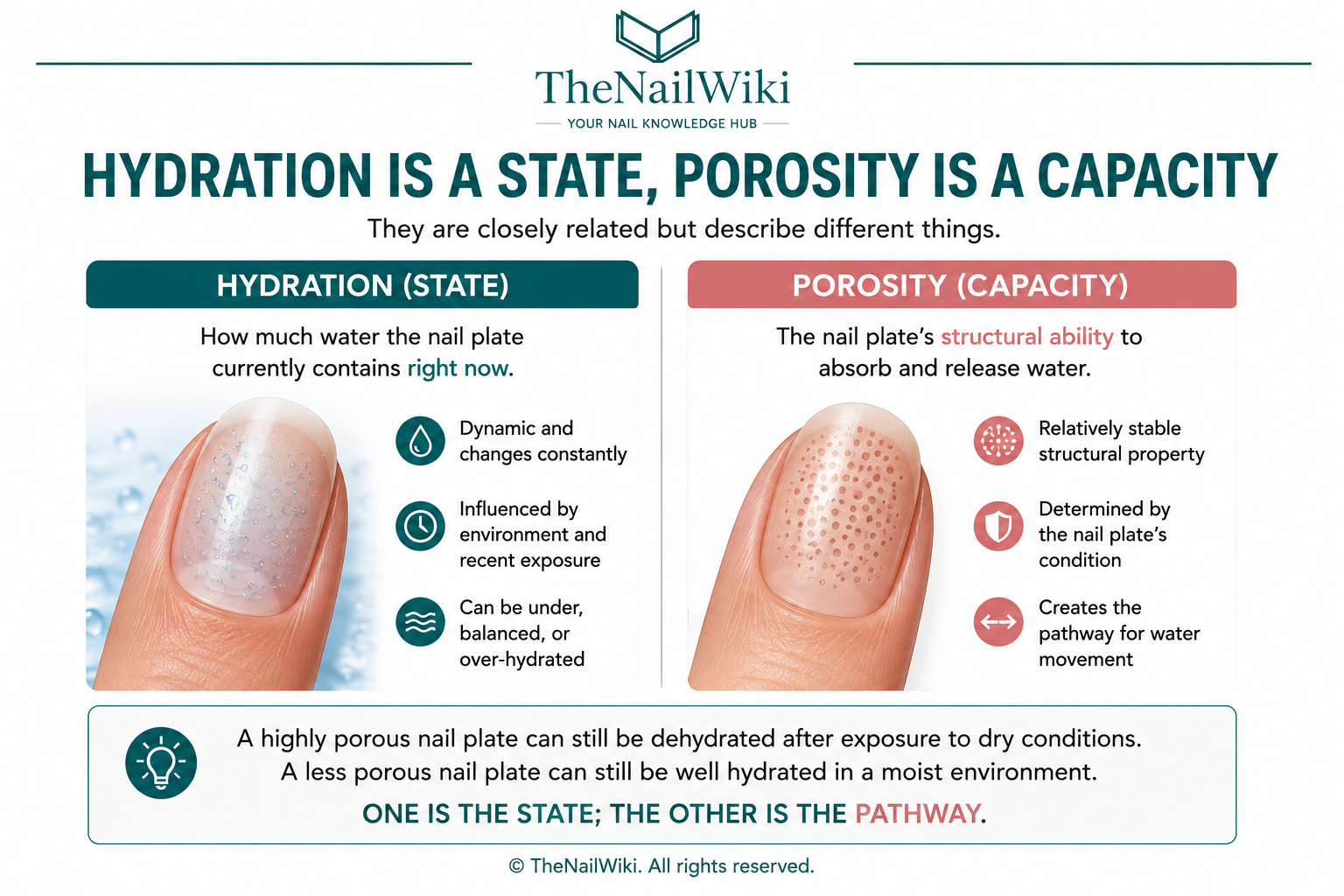 TheNailWiki infographic showing under-hydrated, balanced, and over-hydrated nail plates with educational illustrations and explanations