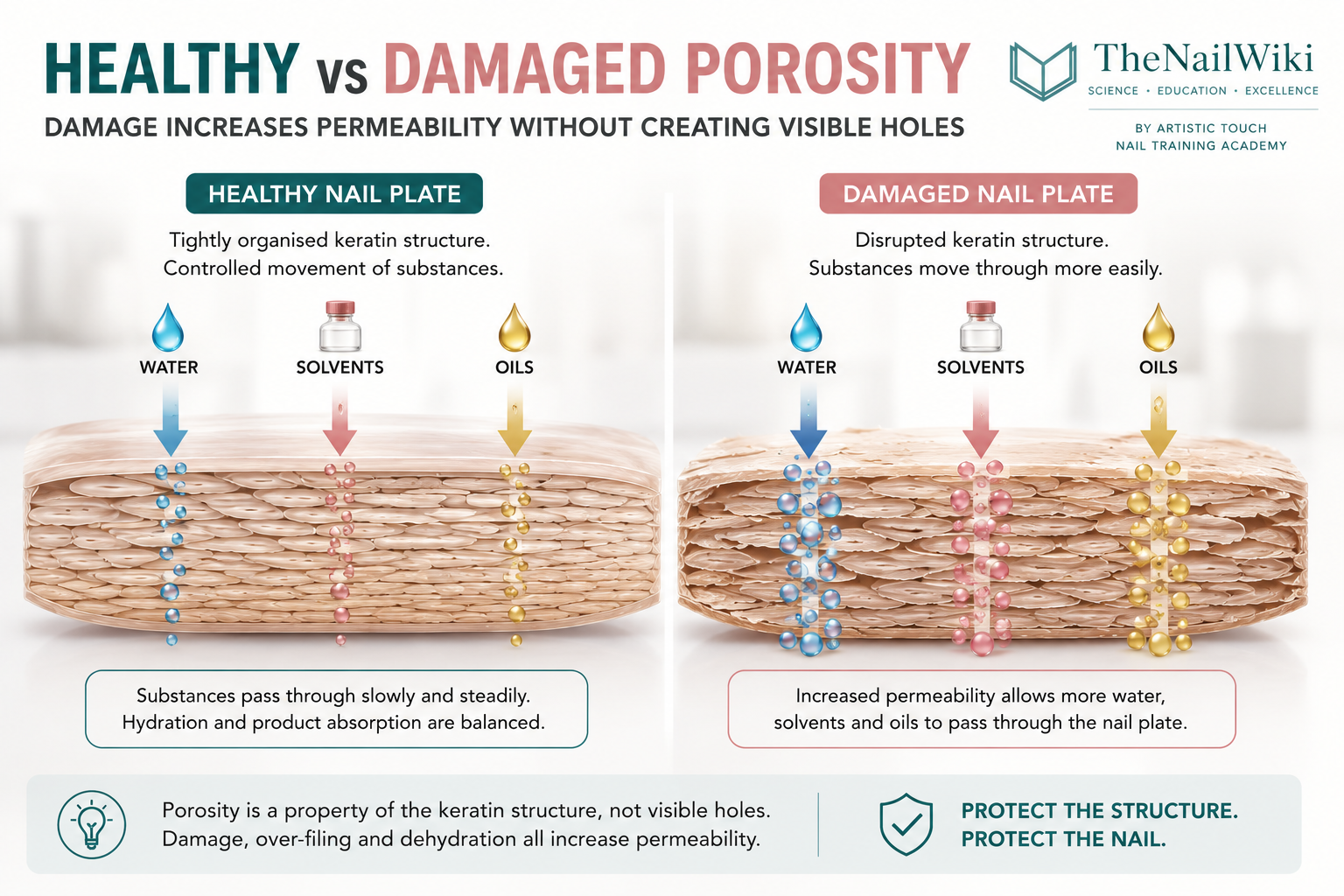 Educational infographic comparing a healthy nail plate with a damaged nail plate, showing increased movement of water, solvents and oils through disrupted keratin structure